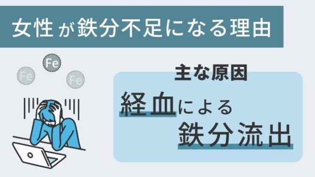 女性が鉄分不足になるのは経血による鉄分不足によると図解で示したもの