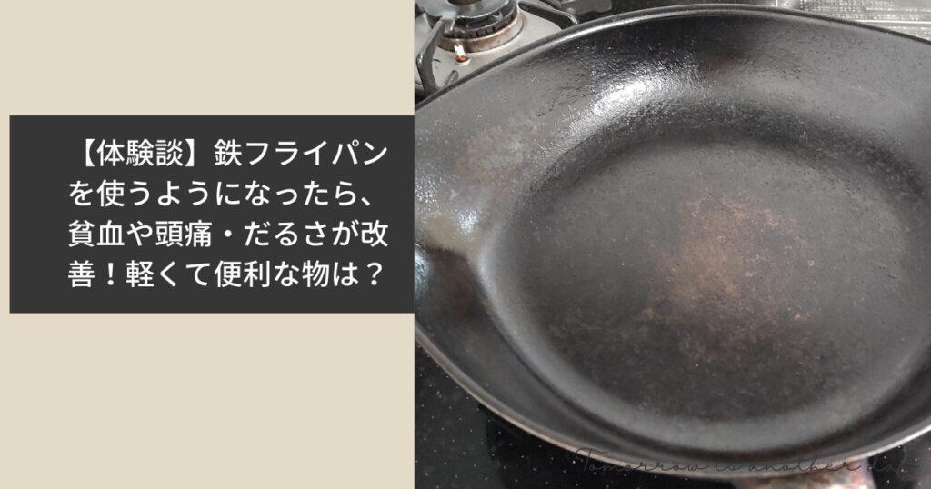 【体験談】鉄フライパンを使うようになったら、貧血や頭痛・だるさが改善！軽くて便利な物は？