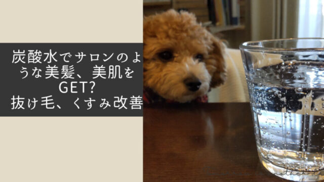 炭酸水でサロンのような美髪、美肌をGET?抜け毛、くすみを改善