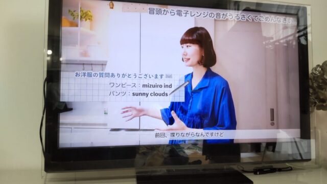 テレビでAmazonスティックによりYouTube動画を映している様子を撮影した写真