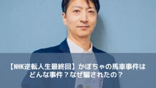 【NHK逆転人生最終回】かぼちゃの馬車事件はどんな事件？なぜ騙されたの？